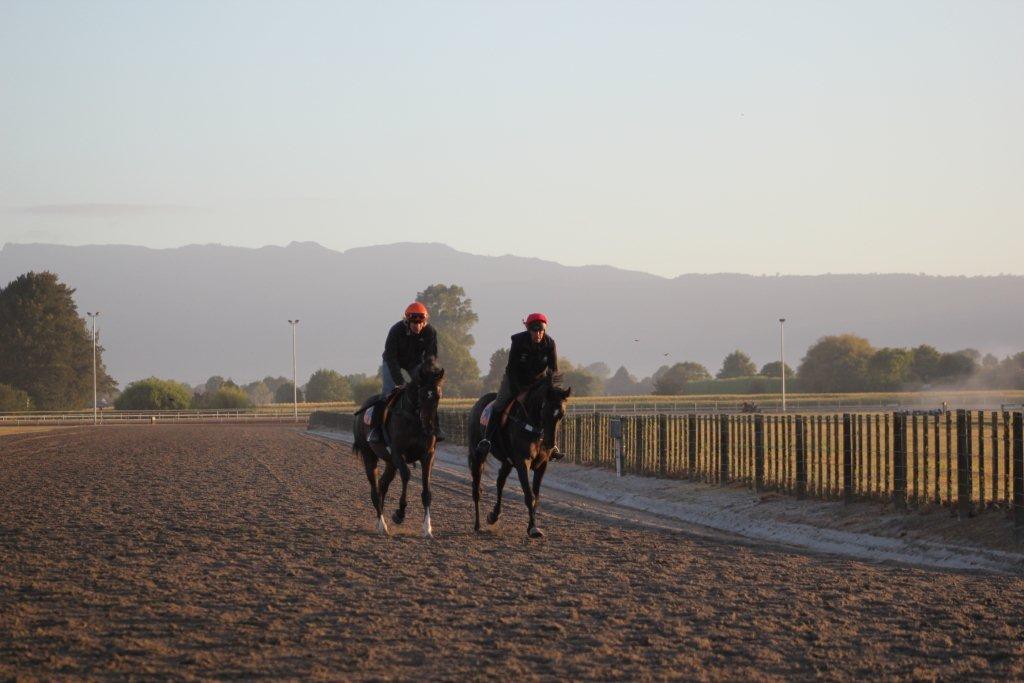 Te Akau Weekend Trackwork
