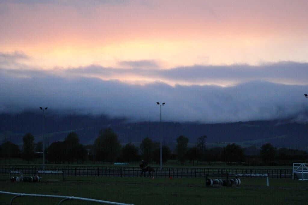 Matamata Tuesday Trackwork