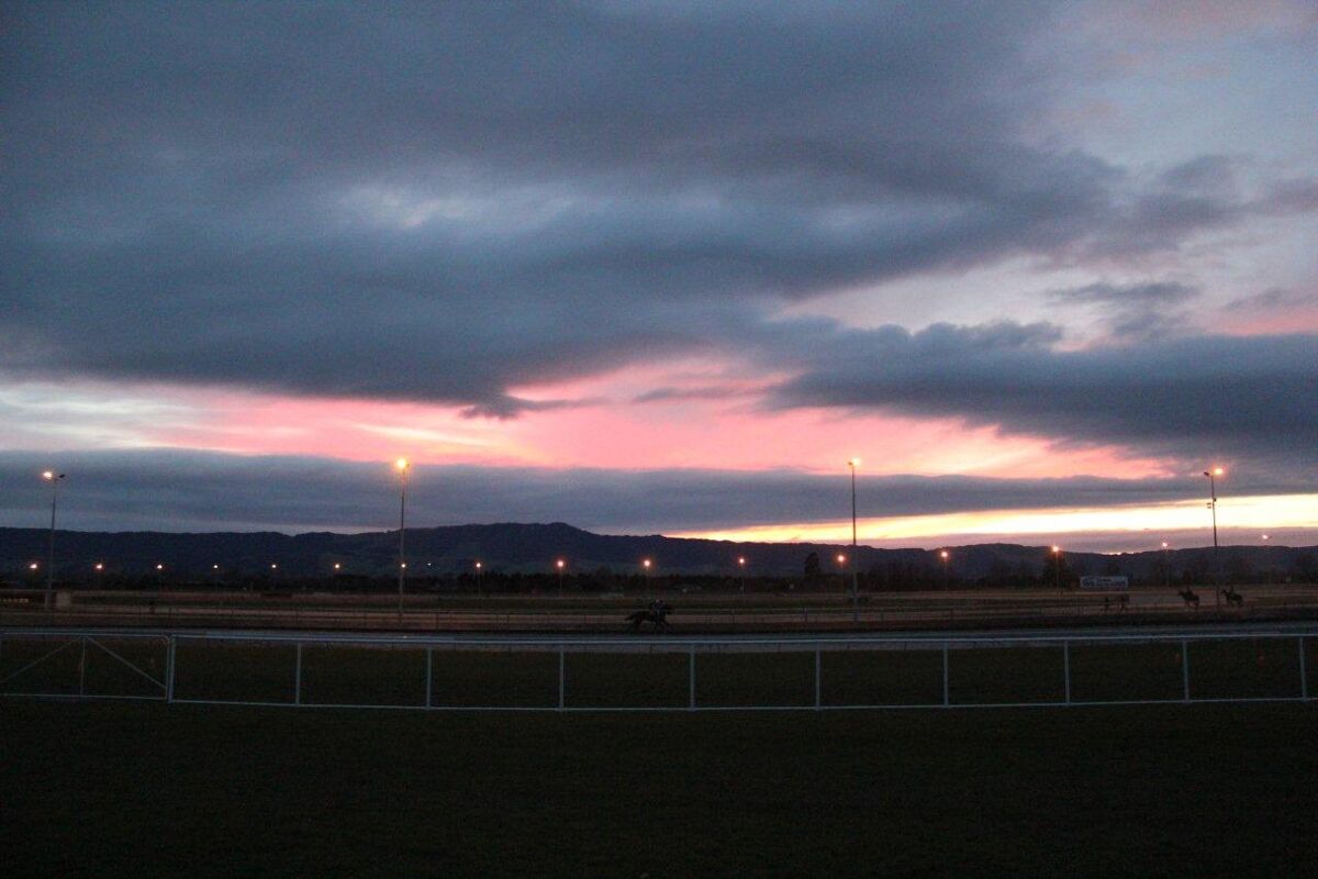 Te Akau Tuesday Trackwork