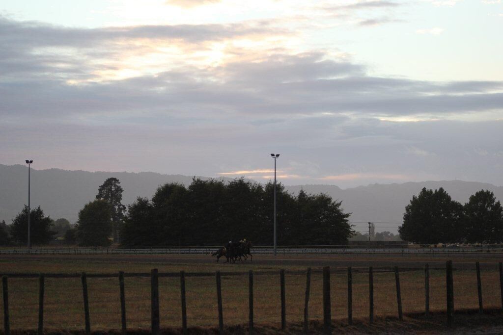 Te Akau Thursday Trackwork