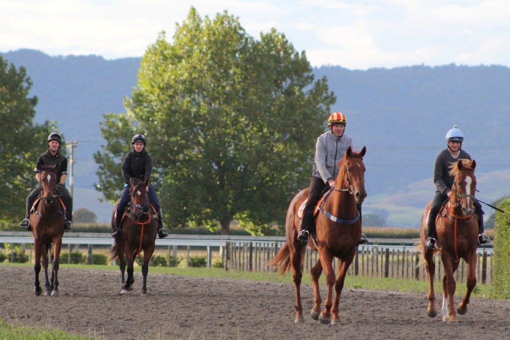 NZ Saturday Trackwork