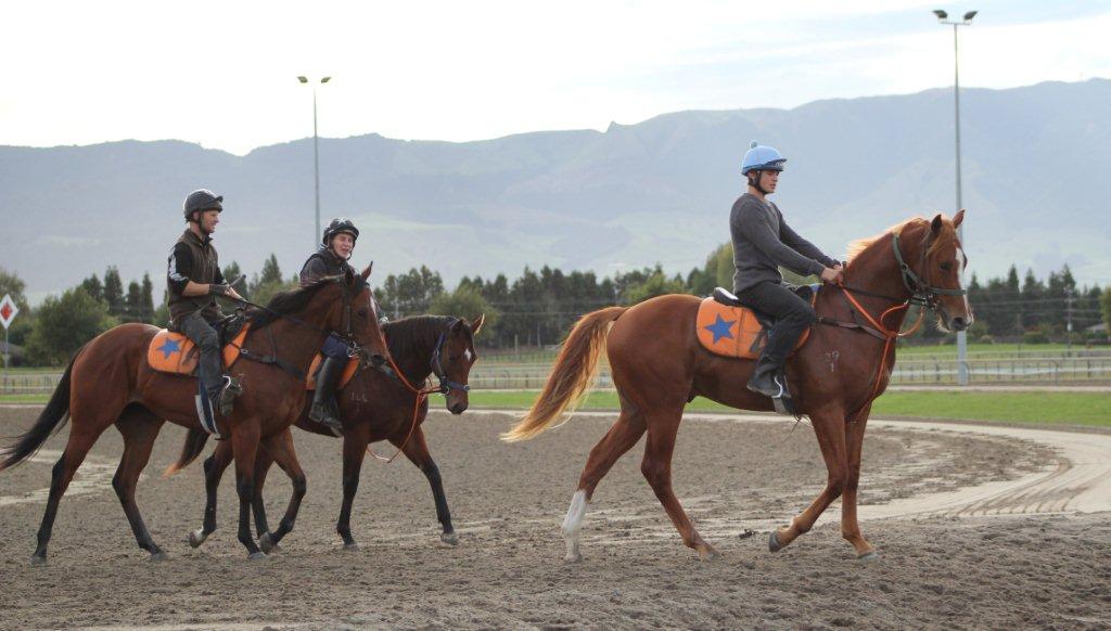 Te Akau Tuesday Trackwork