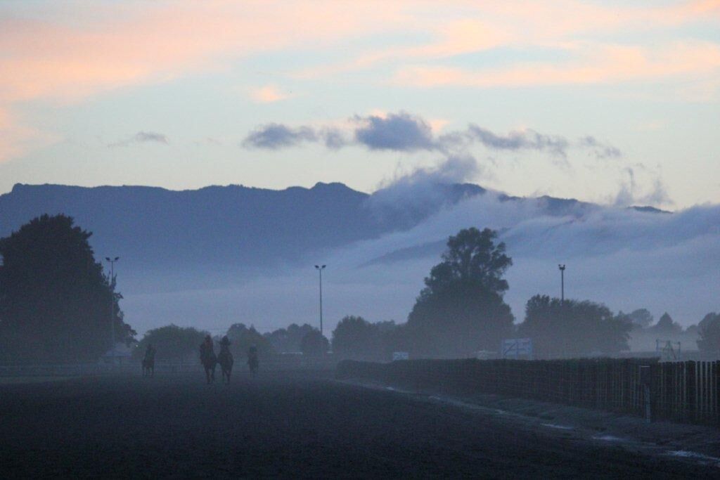Te Akau Saturday Matamata Track Work