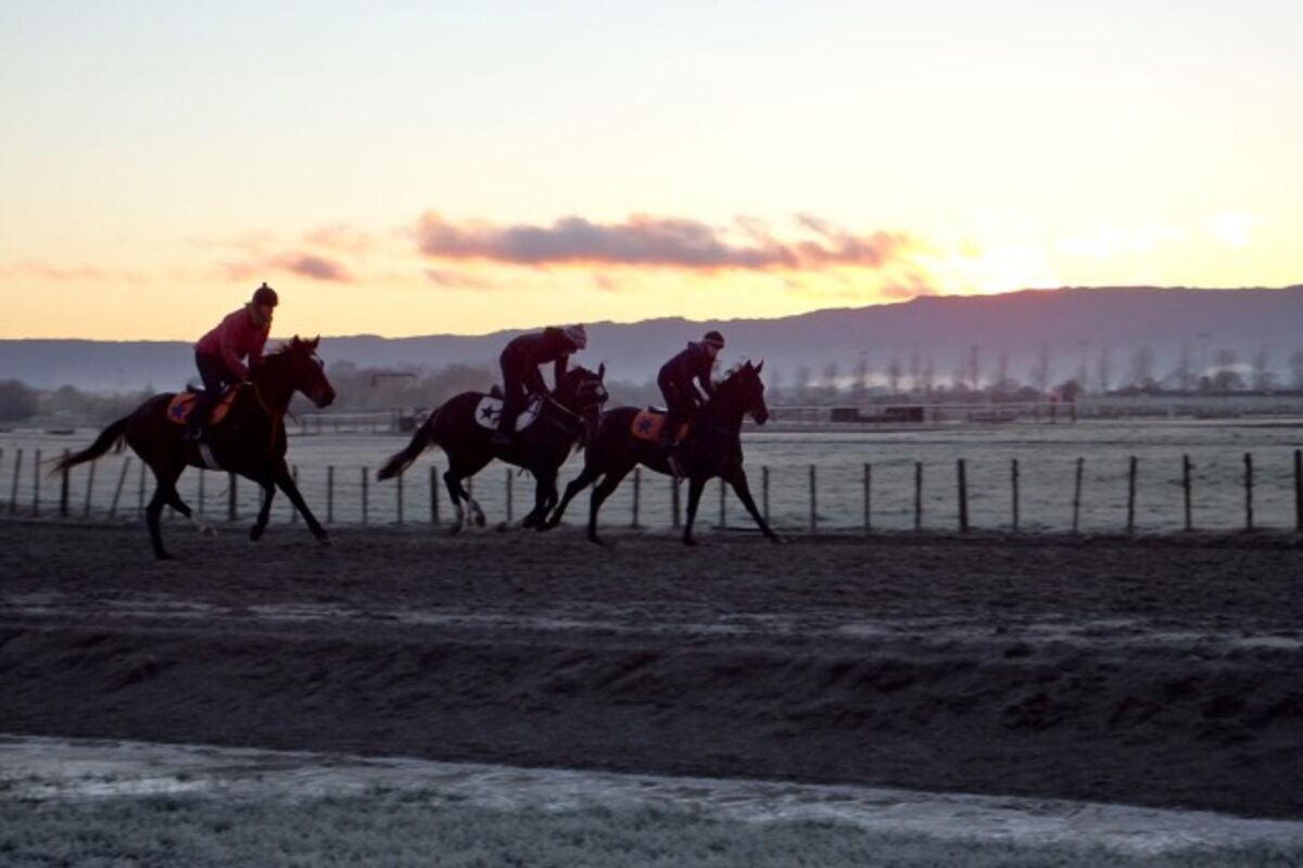 Te Akau Thursday Trackwork
