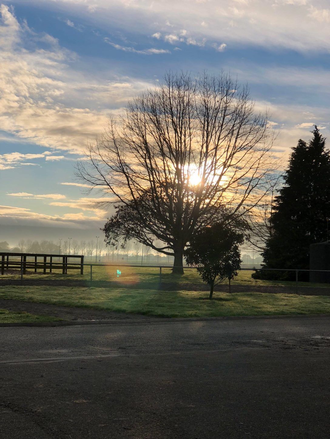 Te Akau Tuesday Trackwork