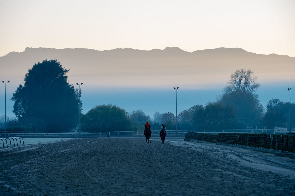 Te Akau Monday Trackwork