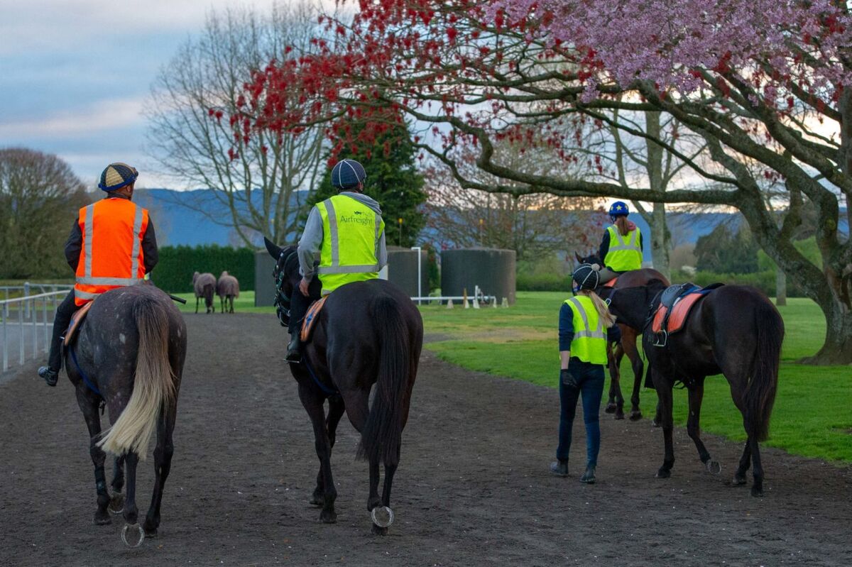 Te Akau Thursday Trackwork