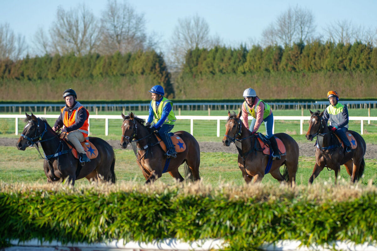 Te Akau Thursday Trackwork