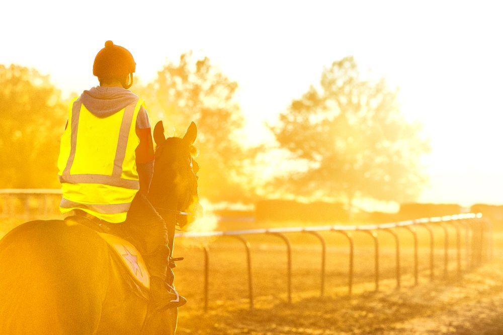 Te Akau Thursday Trackwork