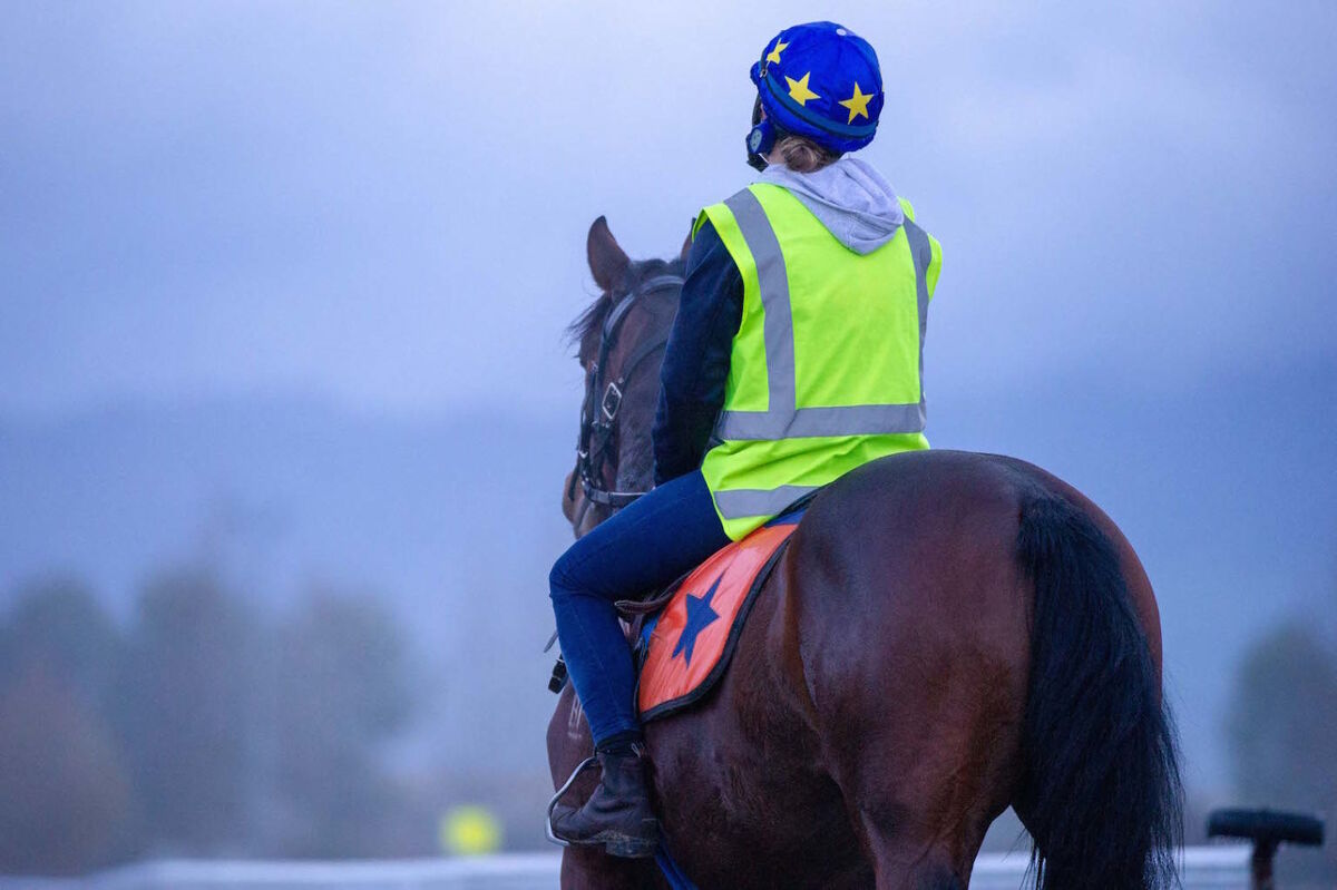 Te Akau Thursday Trackwork