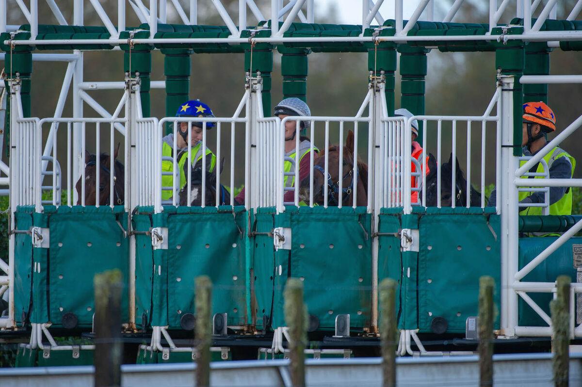 Te Akau Weekend Trackwork