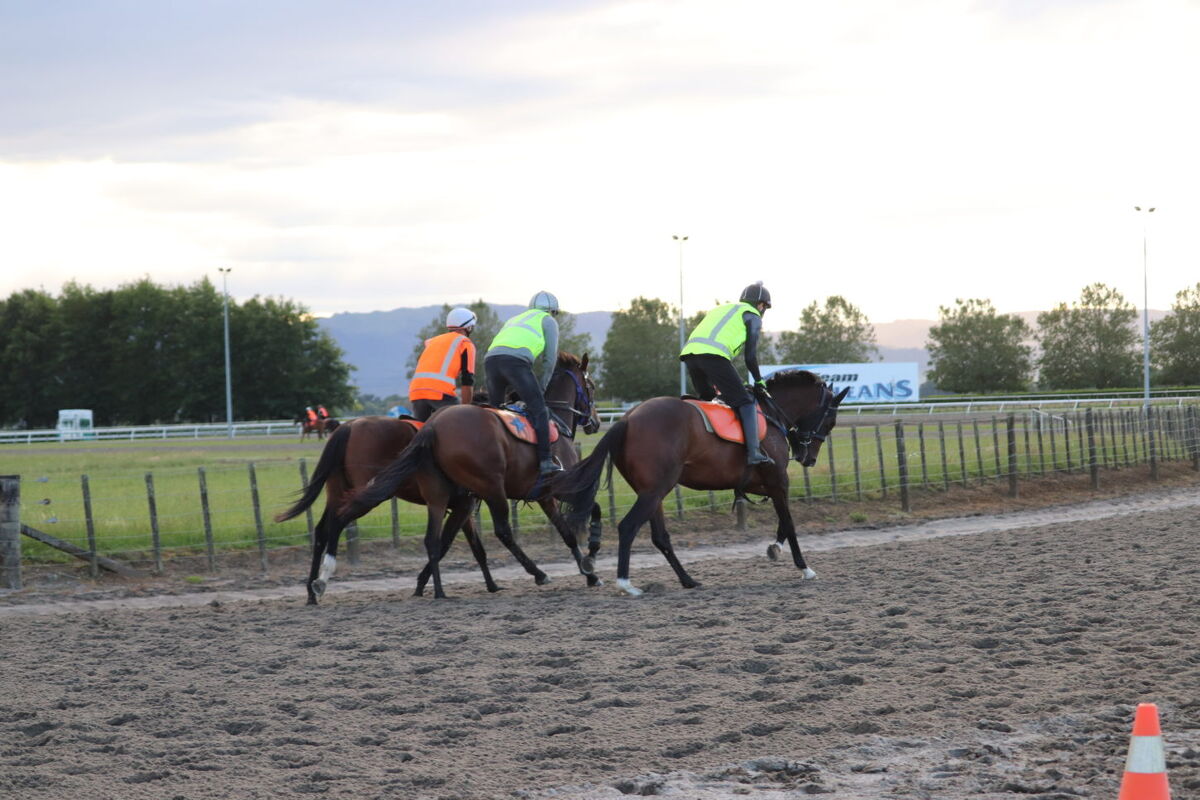 Te Akau Weekend Trans-Tasman Trackwork