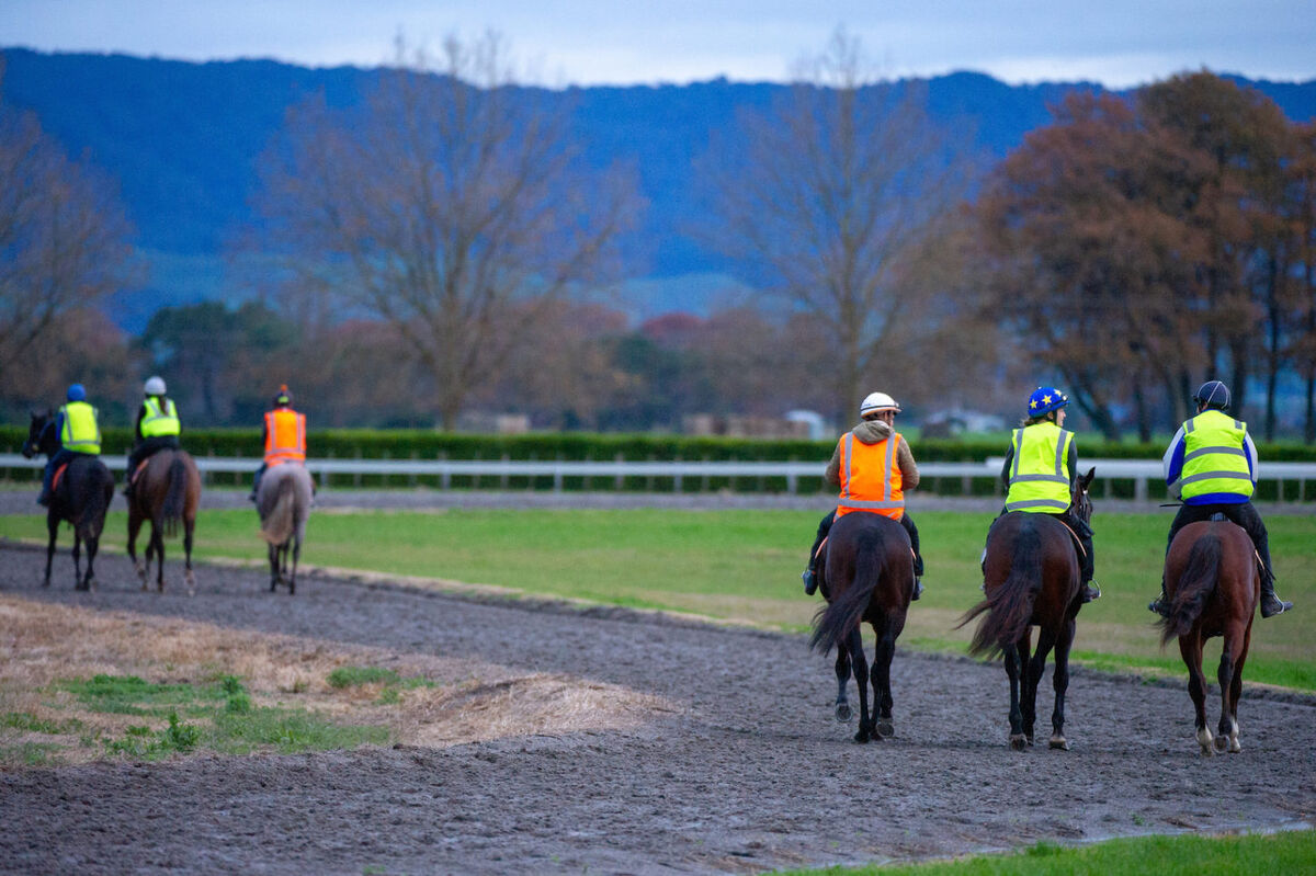 Te Akau Trans Tasman Weekend Trackwork