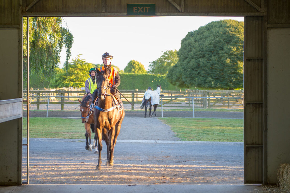 Te Akau Tuesday Trackwork