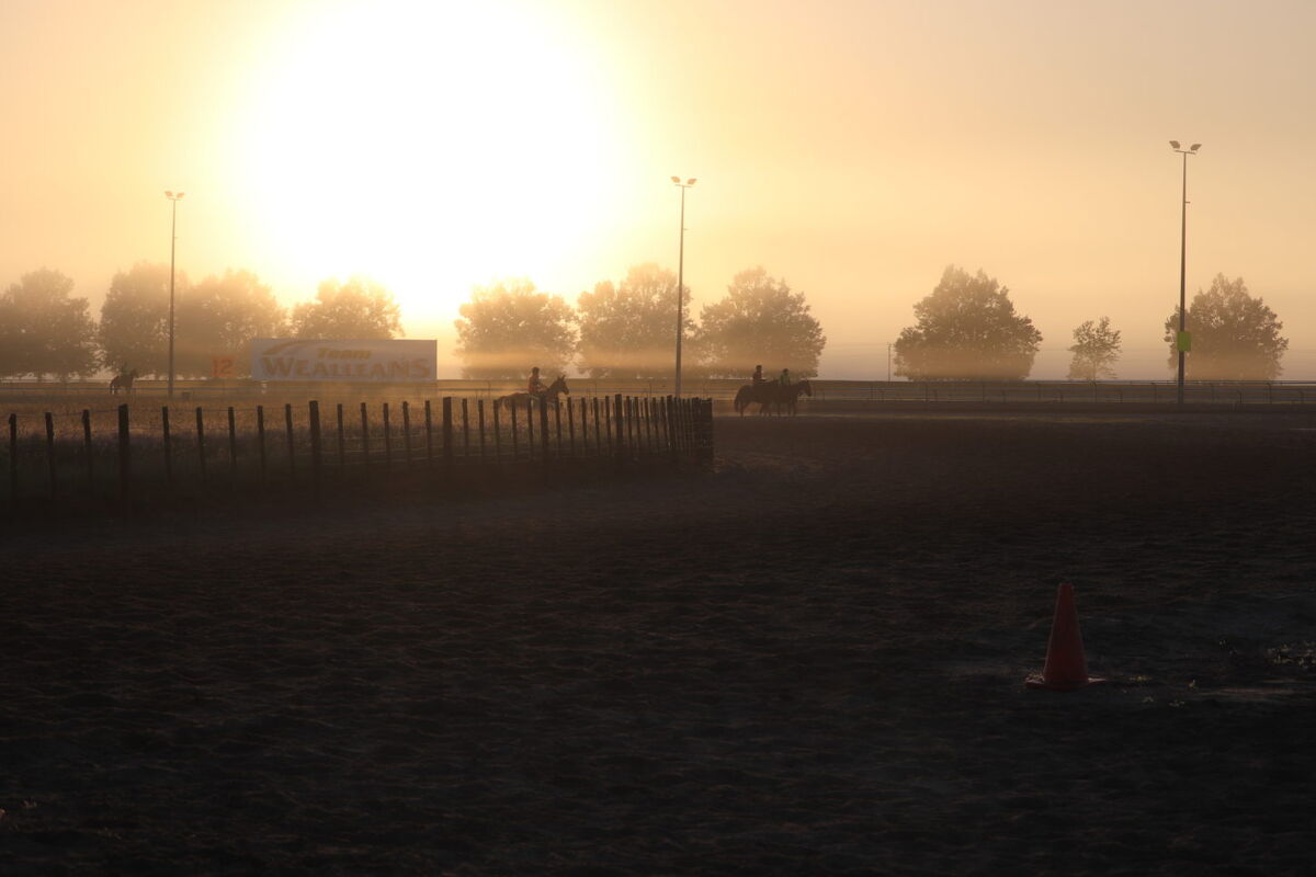 Te Akau NZ Trackwork Update