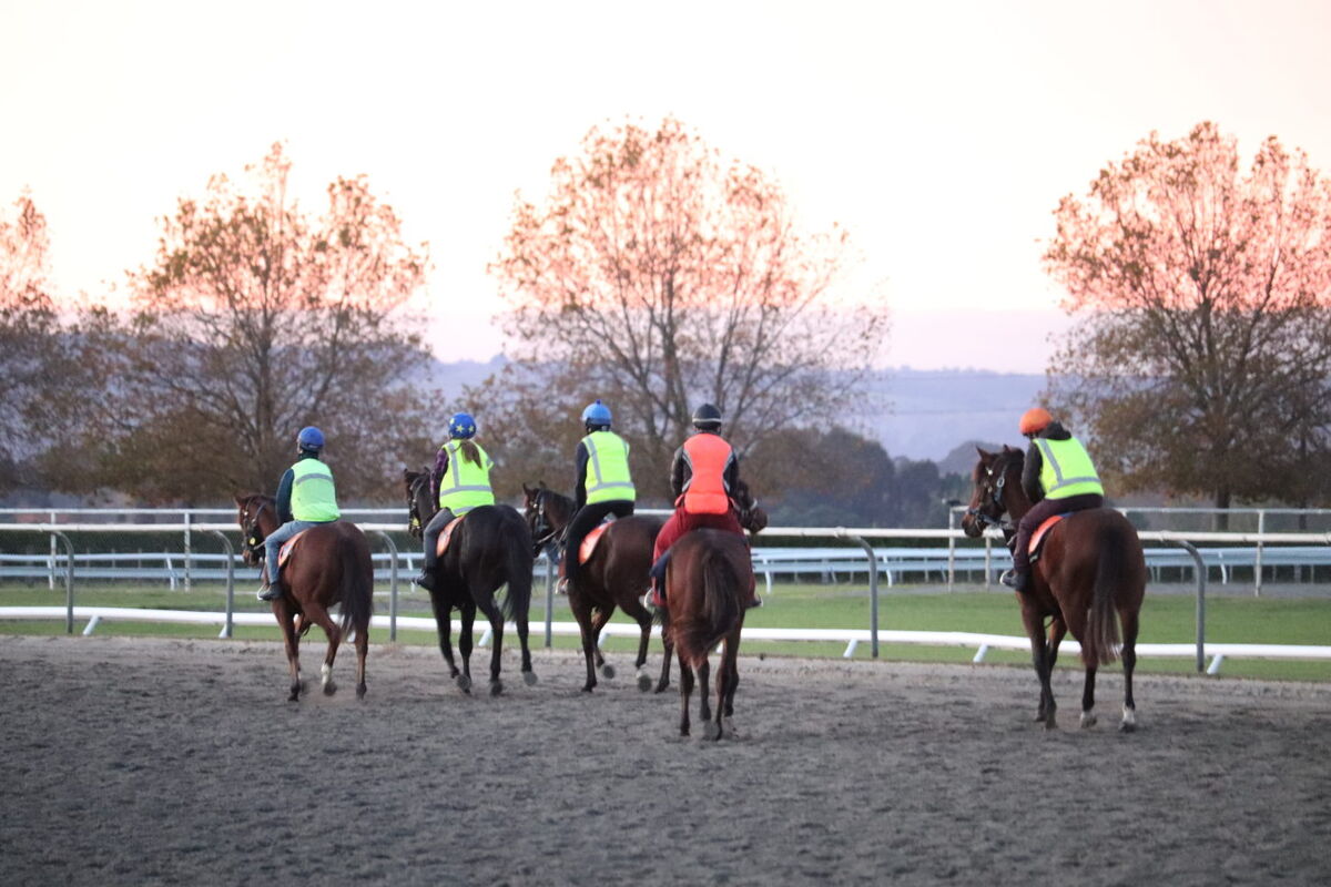Te Akau Weekend Trackwork