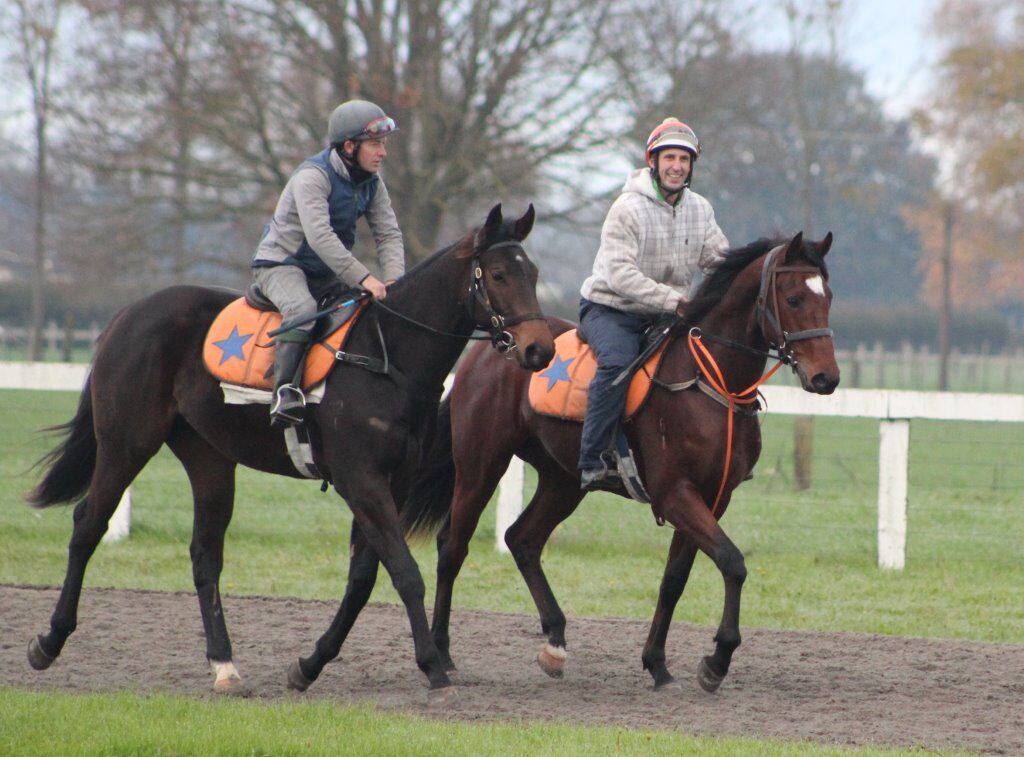 Te Akau Friday Trackwork