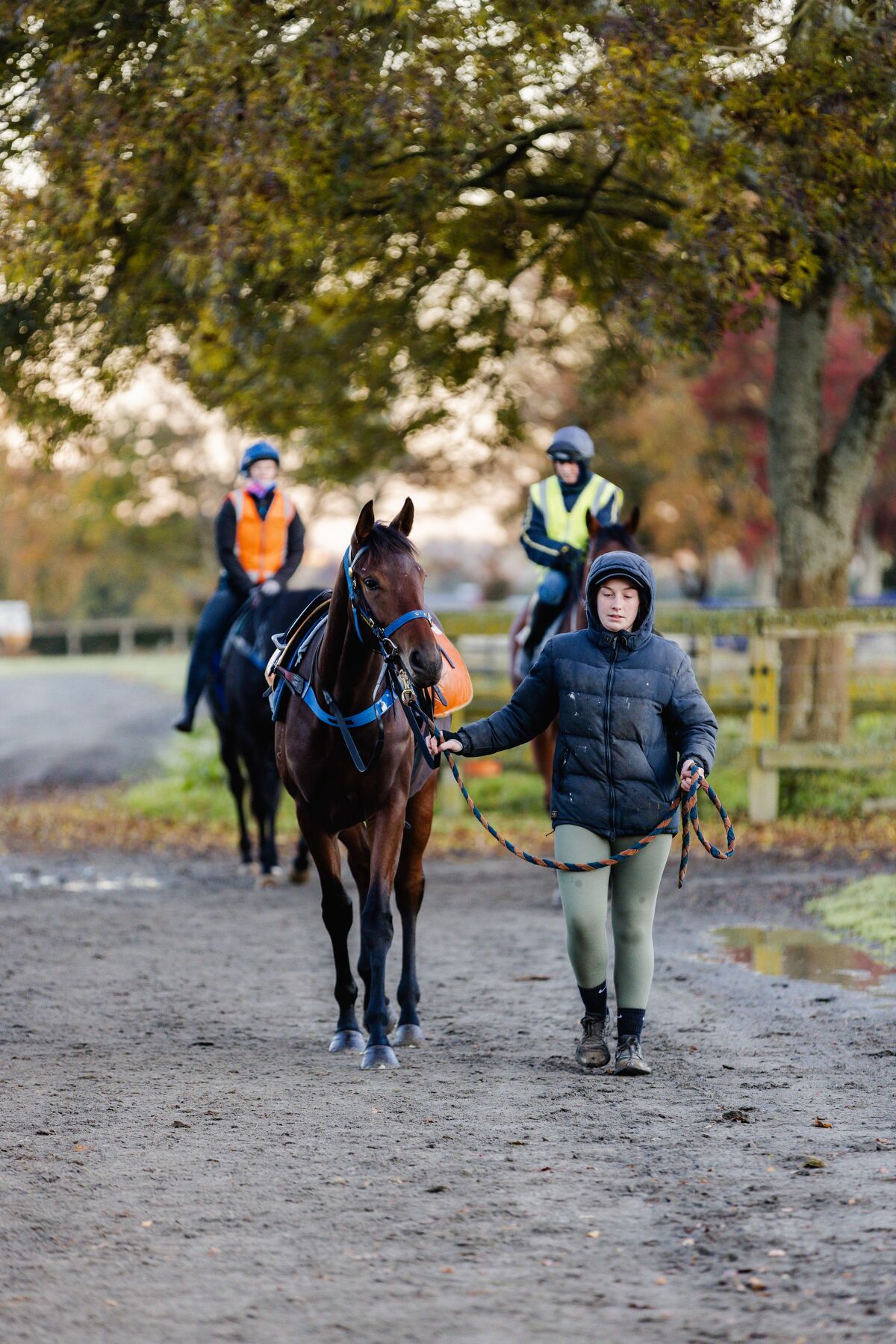 Te Akau Midweek Trackwork