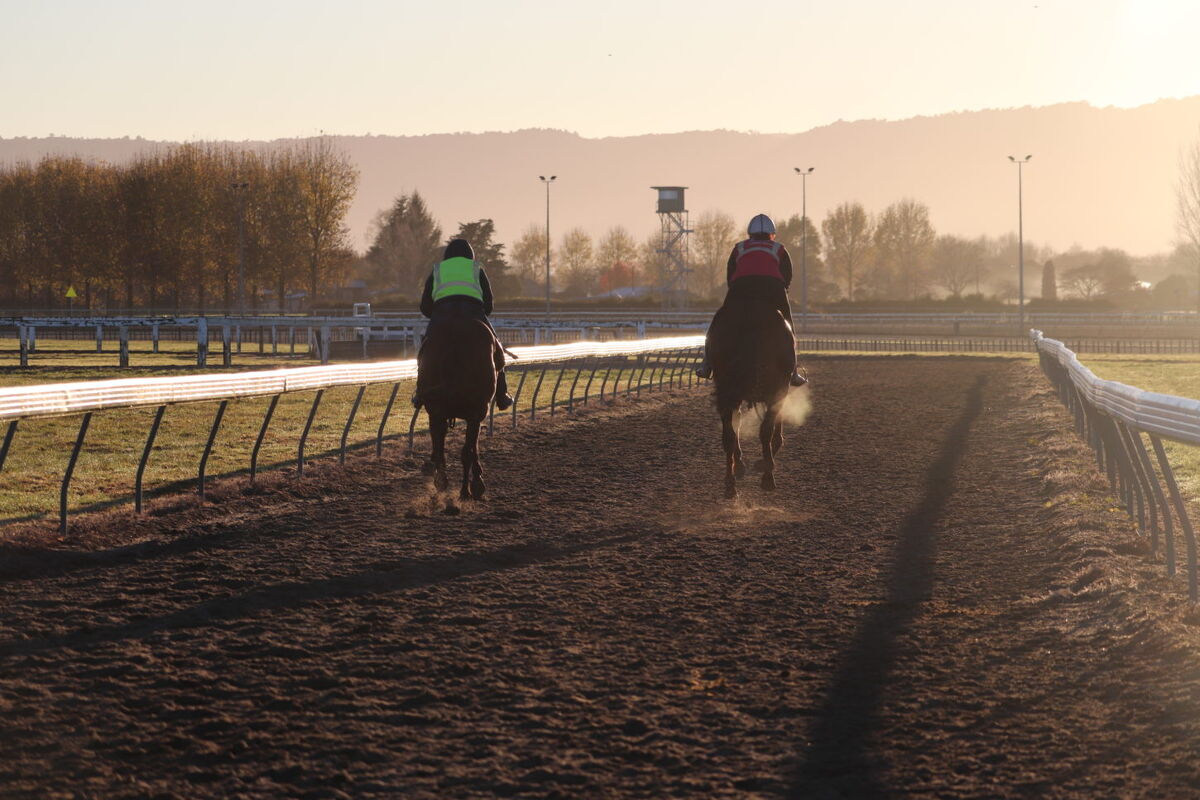 Te Akau Trans Tasman Weekend Trackwork