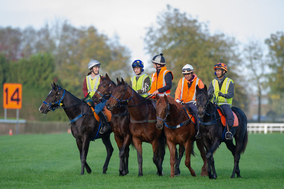 Te Akau Tuesday Trackwork