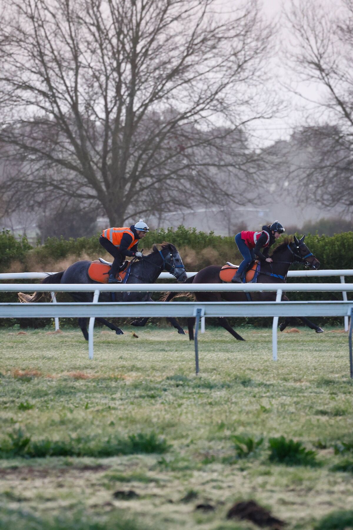 Te Akau Trans Tasman Trackwork