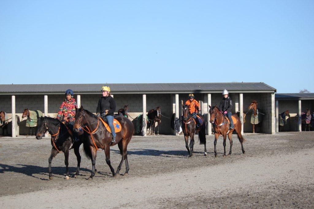 Te Akau Tuesday Trackwork