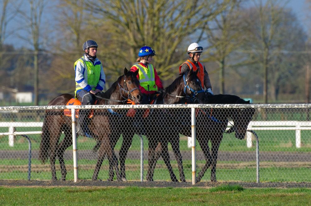 Te Akau Thursday Trackwork