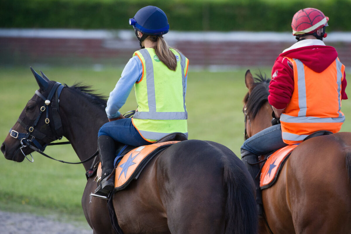 Te Akau Thursday Trackwork