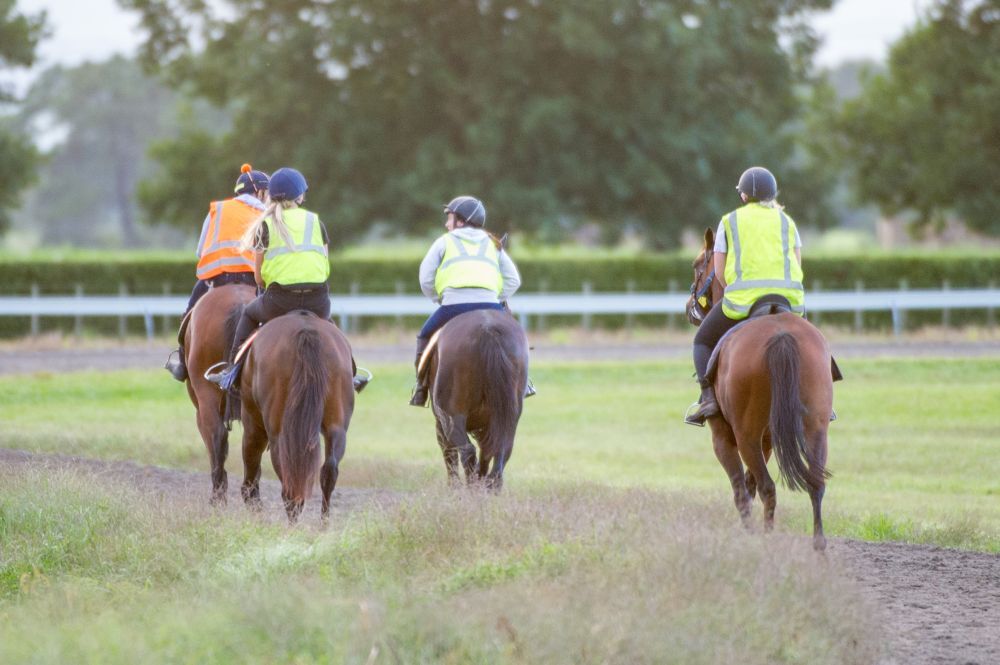 Te Akau Weekend Trackwork