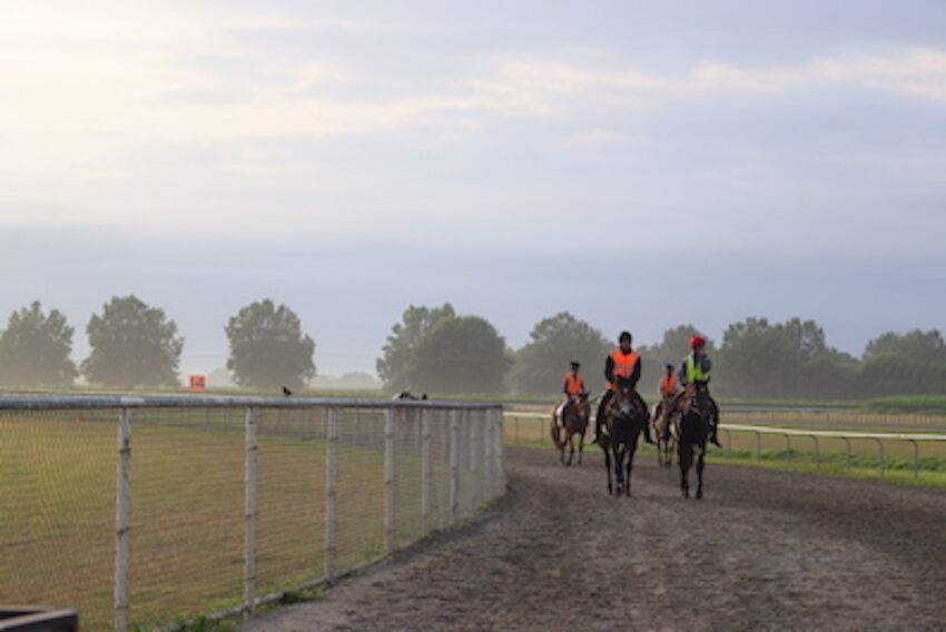 Te Akau Thursday Trackwork
