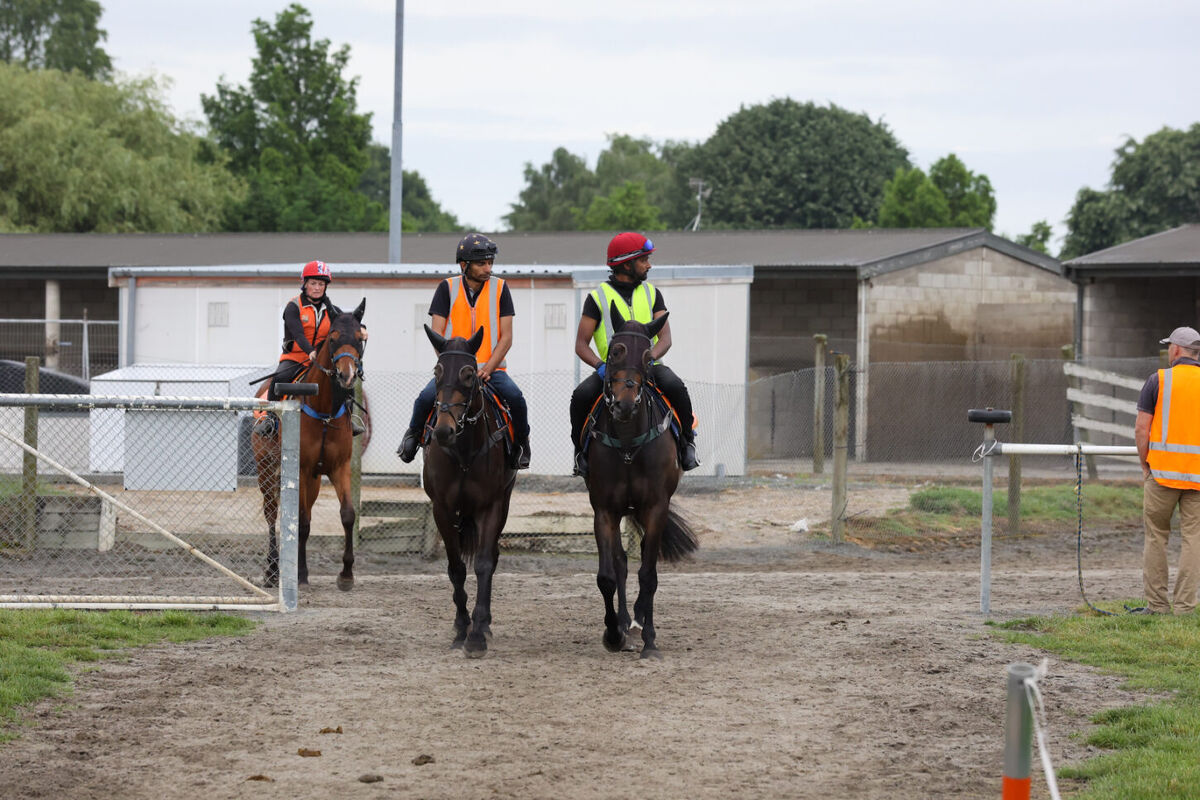Te Akau Thursday Trackwork