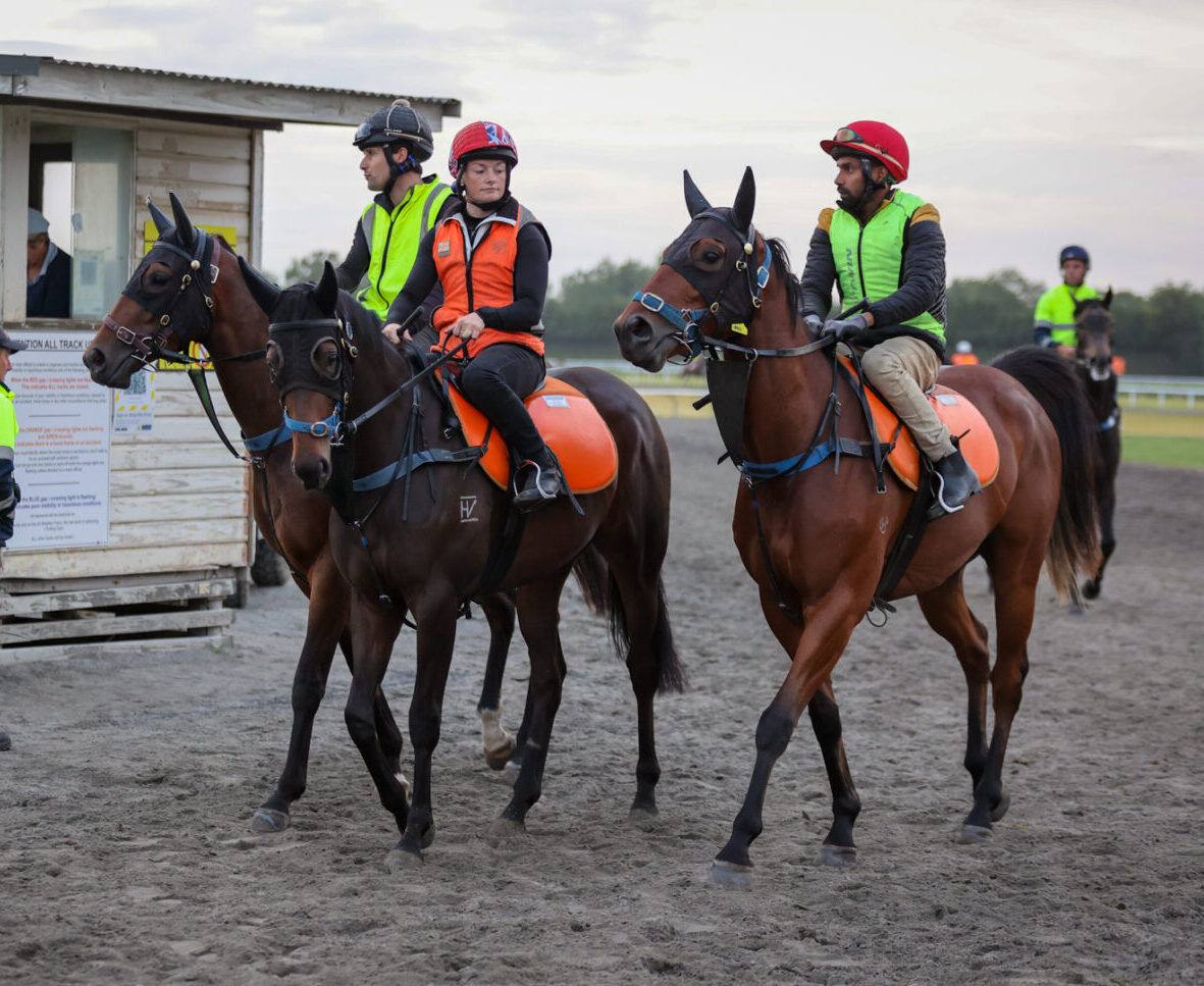 Te Akau Tuesday Trackwork