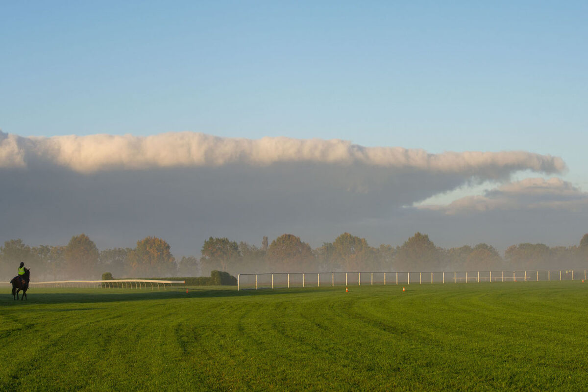 Te Akau Weekend Trackwork