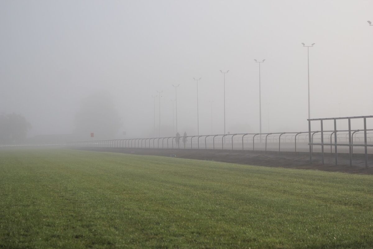 Te Akau Saturday Trackwork