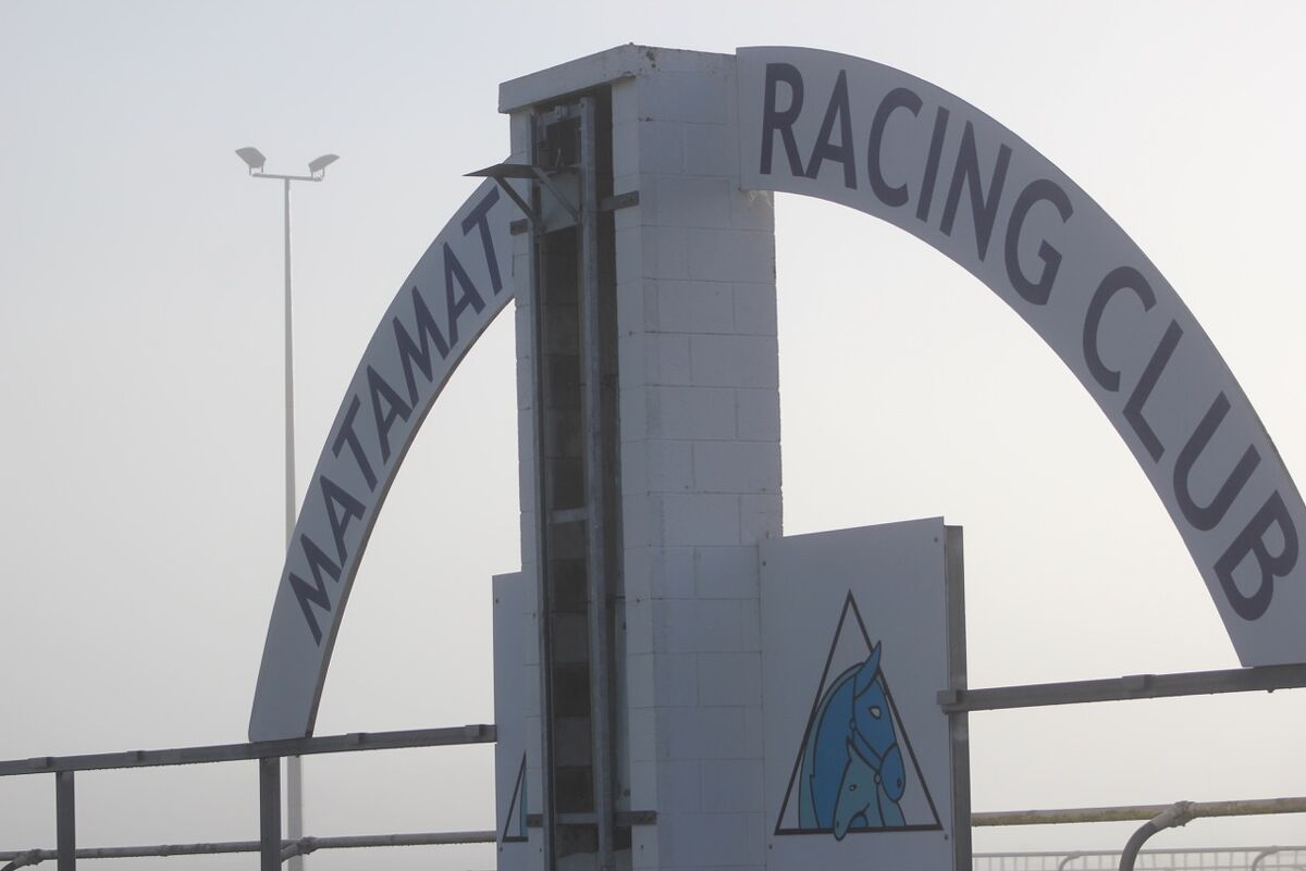 Matamata Tuesday Trackwork