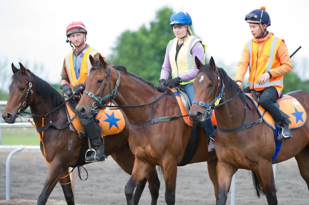 Te Akau Tuesday Trackwork