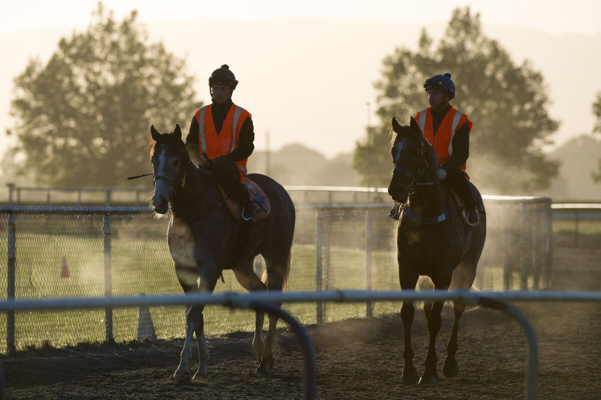 Te Akau Tuesday Trackwork