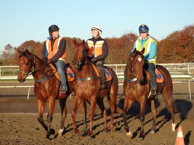 Te Akau Tuesday Trackwork