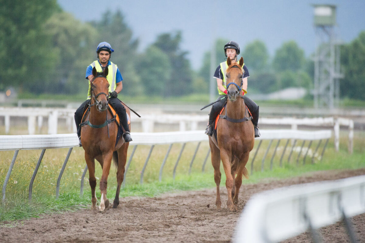 Te Akau Thursday Trackwork