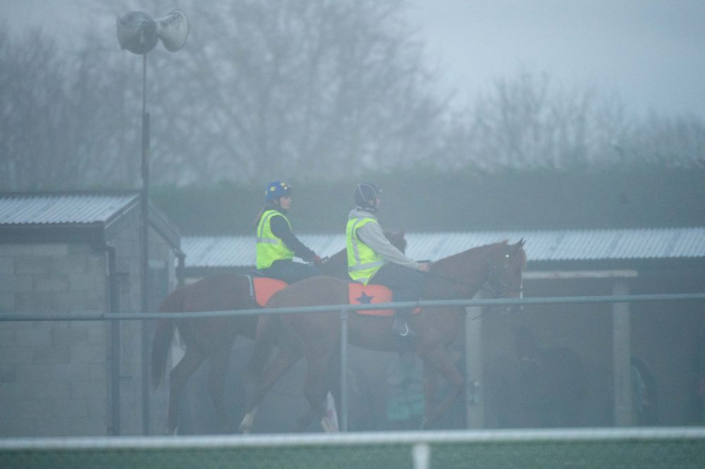 Te Akau Tuesday Trackwork