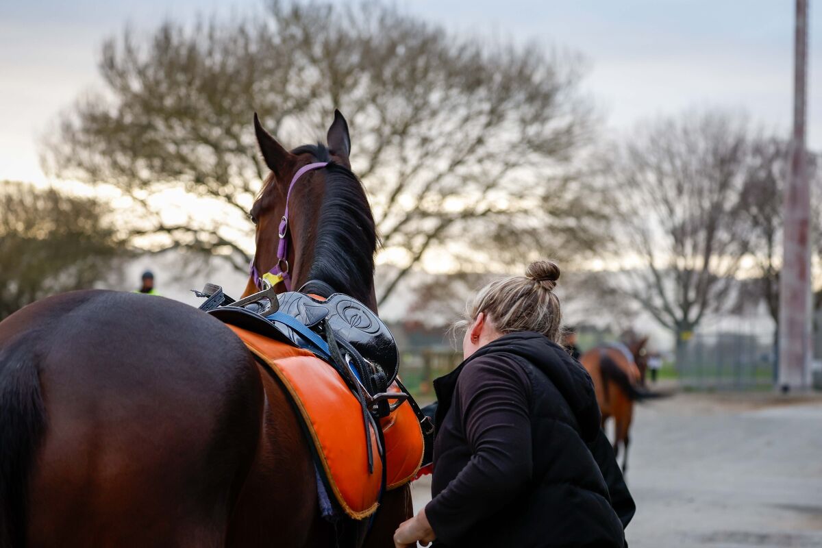 Te Akau Trans-Tasman Saturday Trackwork