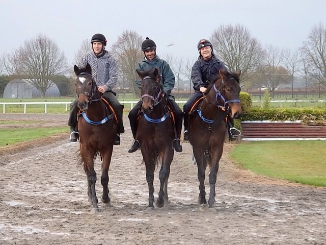 Te Akau Tuesday Trackwork