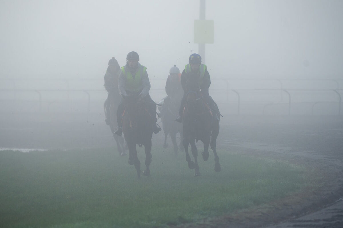 Te Akau Tuesday Trackwork