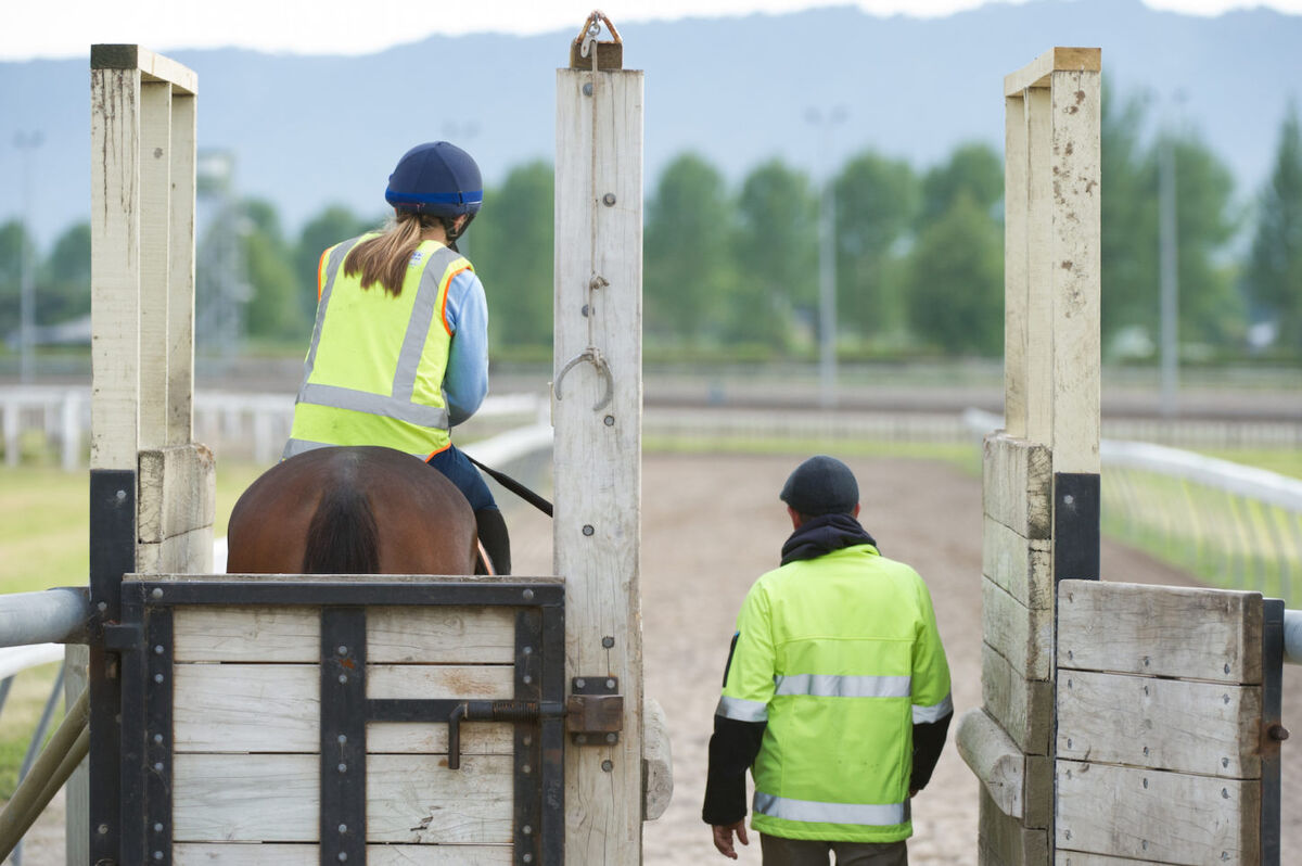 Te Akau Weekend Trackwork