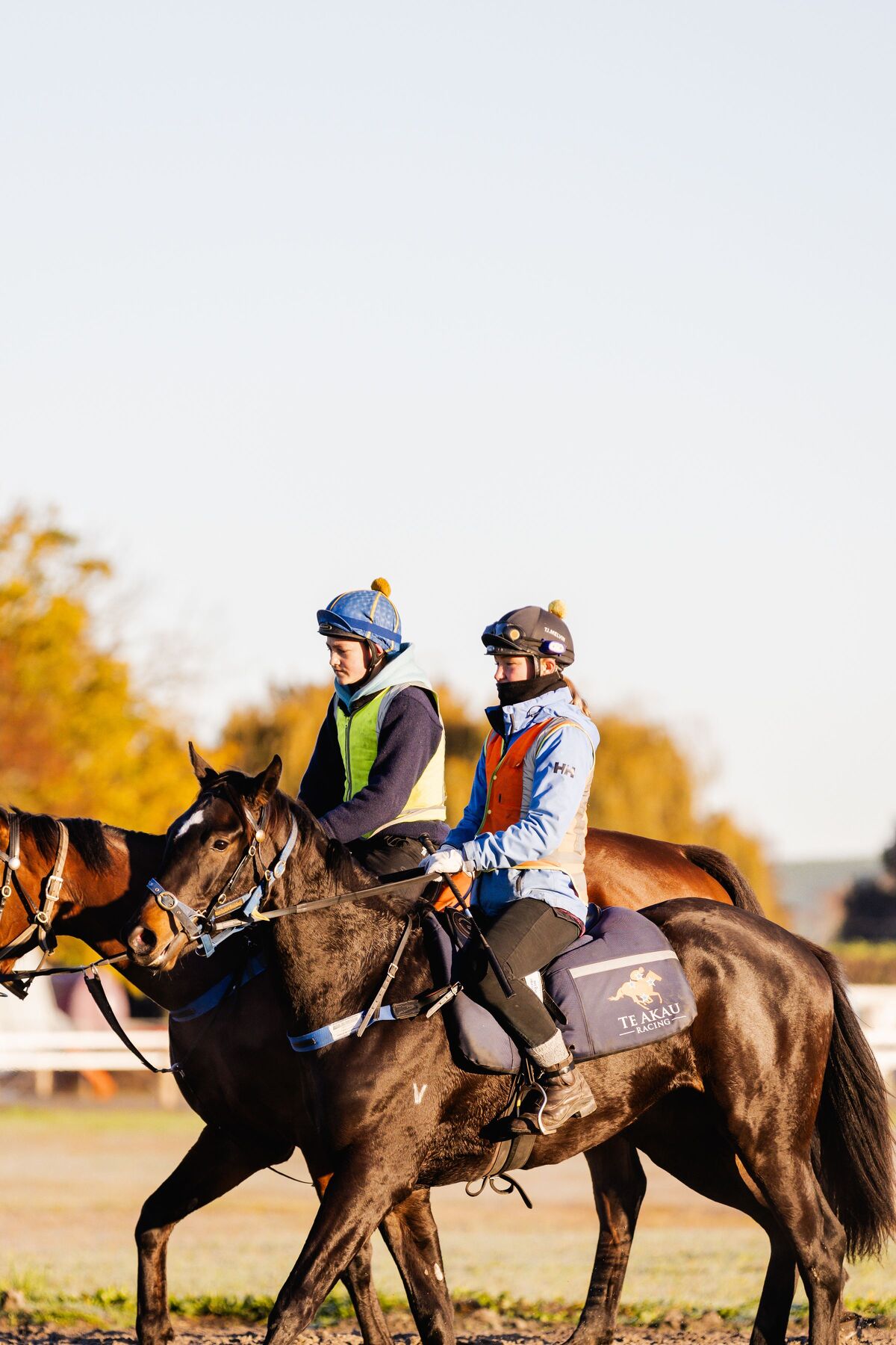 Te Akau Midweek Trackwork