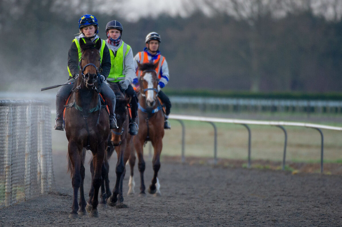 Te Akau Tuesday Trackwork