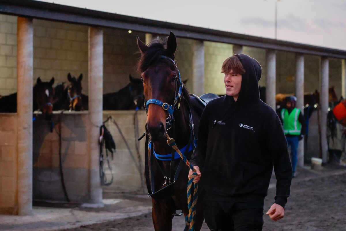 Te Akau Trans-Tasman Weekend Trackwork