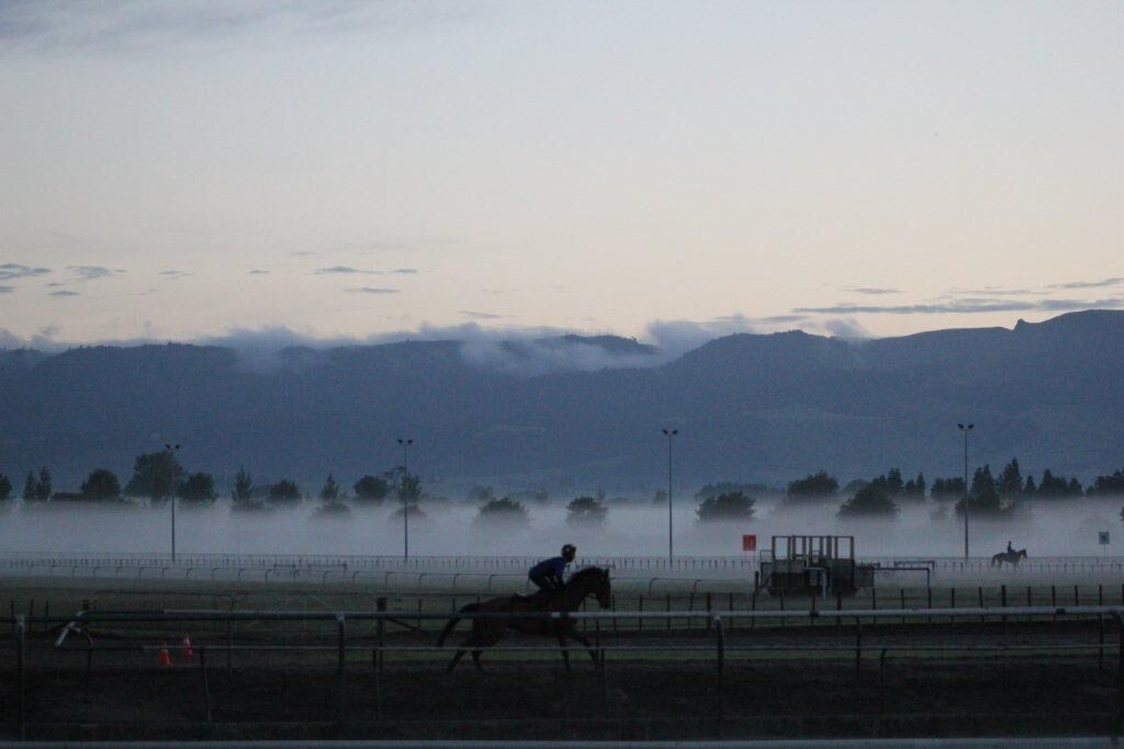 Te Akau Thursday Trackwork