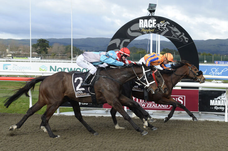 Awapuni Winning Quartet - Paris Perfection