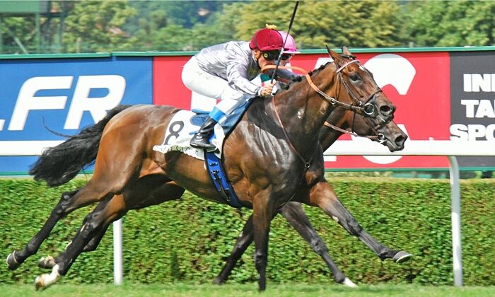 A Treble for Treve